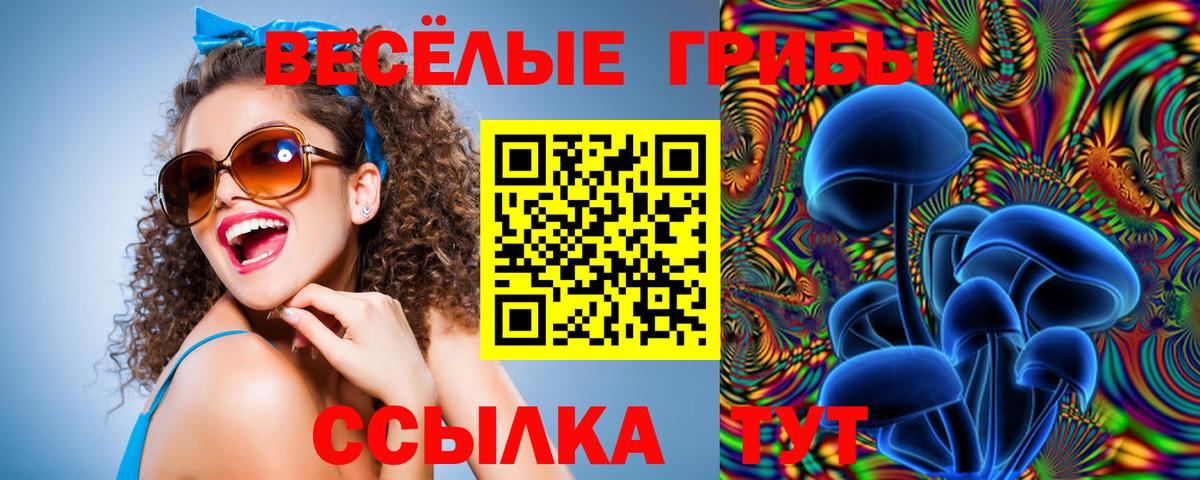 Псилоцибиновые грибы Psilocybe Рыбинск