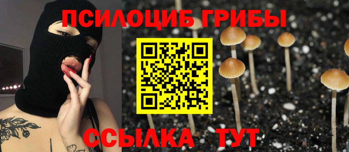 Галлюциногенные грибы прущие грибы  Вход с VPN  Рыбинск  Псилоцибиновые грибы мухоморы 